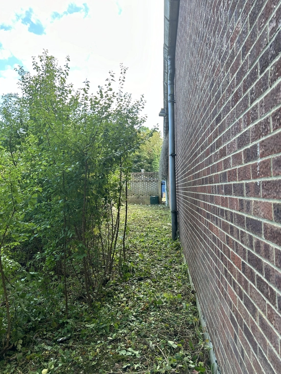 oe-landscapes_15